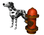 dog peeing on fire hydrant