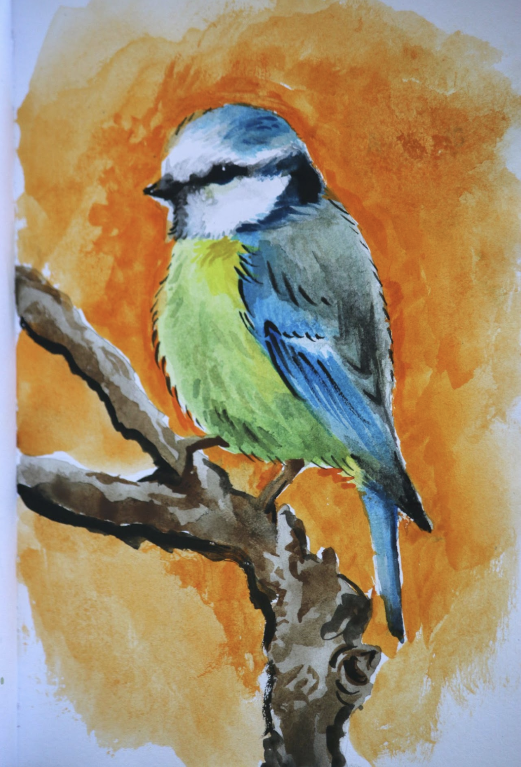 watercolor of blue and green bird on orange background
